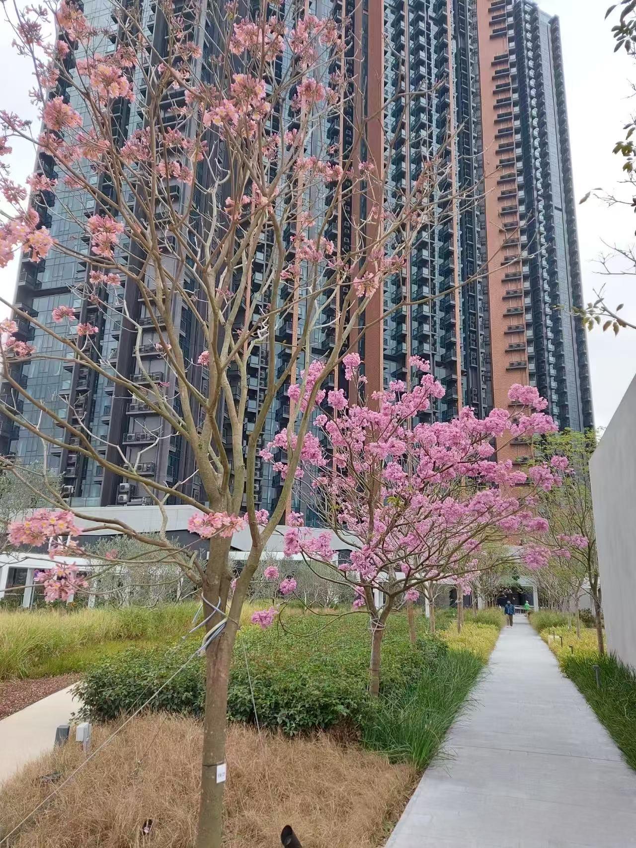 柏傲庄 建築設計